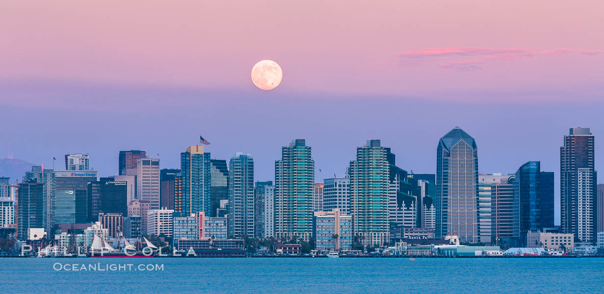 Blue Moon over San Diego City Skyline Natural History Photography Blog