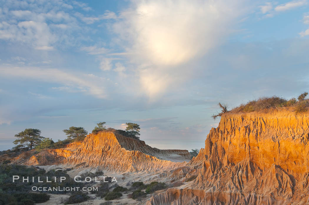 Broken Hill is an ancient, compacted sand dune that was uplifted to its present location and is now eroding. Torrey Pines State Reserve, San Diego, California, USA, natural history stock photograph, photo id 14768
