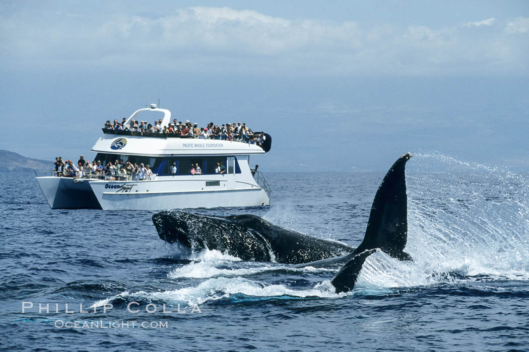 People With Humpback