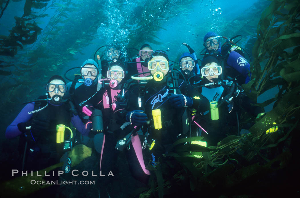 kelp forest diving
