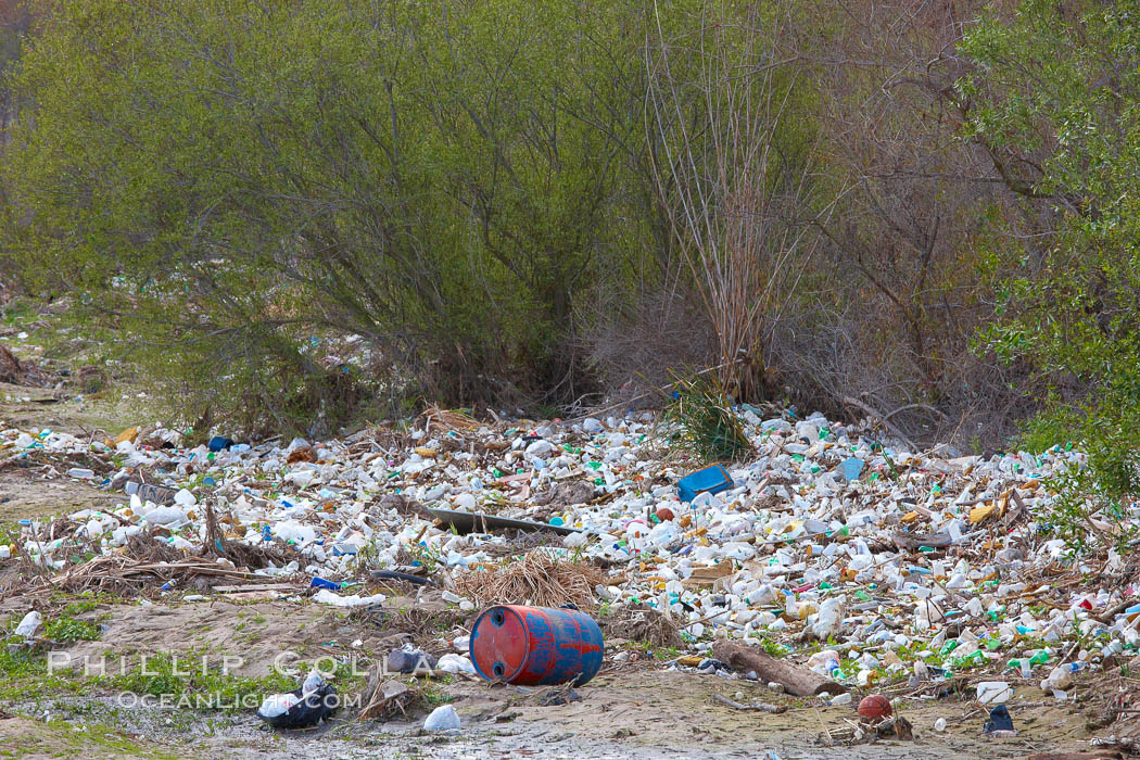 Pollution accumulates in the Tijuana River Valley following winter storms which flush the trash from Tijuana in Mexico across the border into the United States. Imperial Beach, San Diego, California, USA, natural history stock photograph, photo id 22544