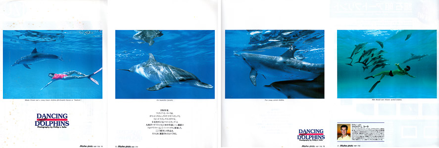 Dolphin Pictorial