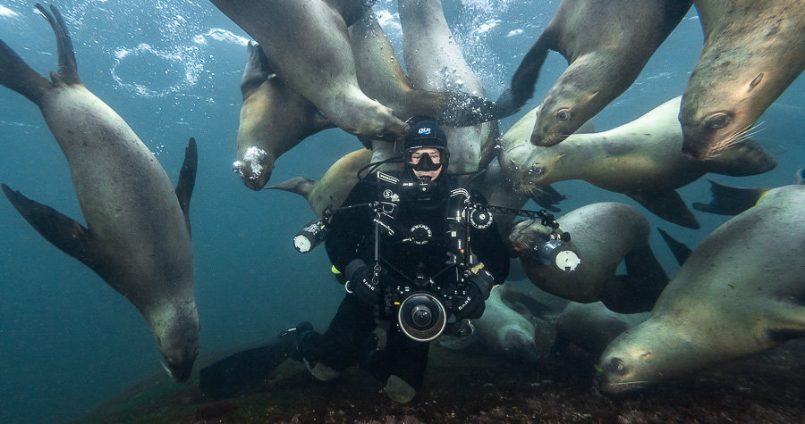 With Steller Sea Lions, British Columbia. Photo by Mike Perdue
