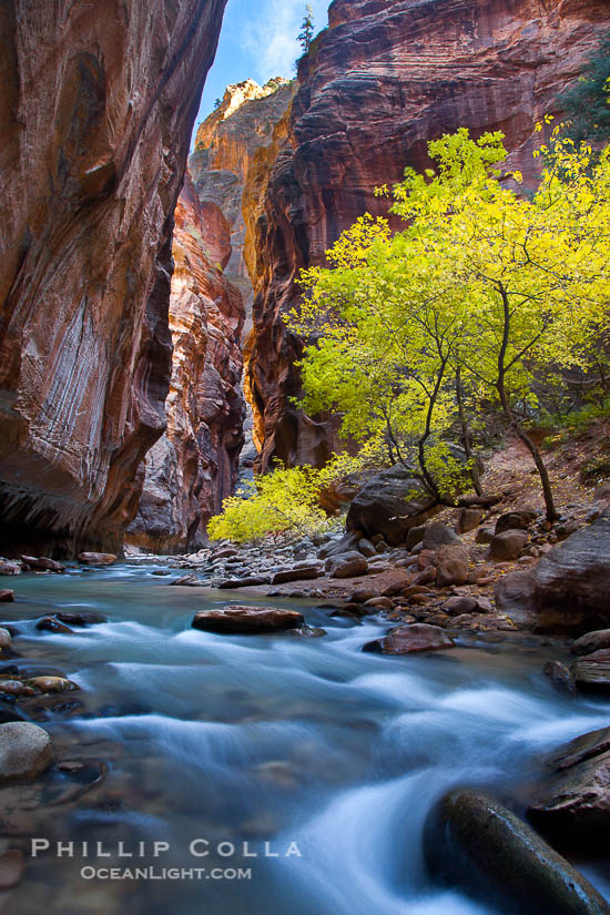 Fall Colors in the Virgin River Narrows, Zion National Park – Natural ...