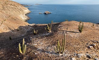 Aerial photo of Islas San Lorenzo in the Sea of Cortez. San Lorenzo Marine Archipelago National Park is a national park of Mexico located on San Lorenzo Island part of an archipelago in the Gulf of California off the eastern coast of Baja California. The San Lorenzo Archipelago is considered one of the most important ecological areas of the Gulf of California. The Island and surrounding areas are part of a rich ecosystem comprised by a grand variety of flora and marine fauna. This area is protected by the Mexican federal government Norma Oficial Mexicana because of its importance as a habitat for several endangered species