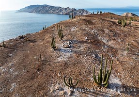 Aerial photo of Islas San Lorenzo in the Sea of Cortez. San Lorenzo Marine Archipelago National Park is a national park of Mexico located on San Lorenzo Island part of an archipelago in the Gulf of California off the eastern coast of Baja California. The San Lorenzo Archipelago is considered one of the most important ecological areas of the Gulf of California. The Island and surrounding areas are part of a rich ecosystem comprised by a grand variety of flora and marine fauna. This area is protected by the Mexican federal government Norma Oficial Mexicana because of its importance as a habitat for several endangered species