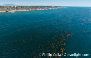 Aerial Photo of Kelp Forests at Cabrillo State Marine Reserve, Point Loma, San Diego