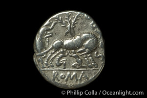 Ancient Roman coin, minted by Sexulus Pompeius Fostlus (137 B.C.), (silver, denom/type: Denarius)