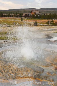 Anemone Geyser erupts, Old Faithful Inn visible in the distance.  Anemone Geyser cycles about every 7 minutes.  First the pools fills, then overflows, then bubbles and splashes before erupting.  The eruption empties the pools and the cycle begins anew.  Upper Geyser Basin, Yellowstone National Park, Wyoming