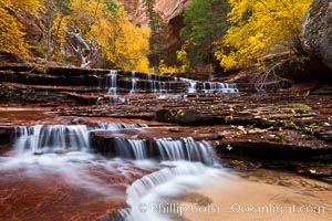 Archangel Falls in autumn, near the Subway in North Creek Canyon, with maples and cottonwoods turning fall colors, Zion National Park, Utah