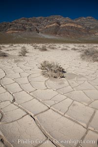 Arid and barren mud flats, dried mud, Eureka Valley, Death Valley National Park, California