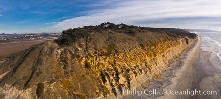 Torrey Pines balloon aerial survey photo.  Torrey Pines seacliffs, rising up to 300 feet above the ocean, stretch from Del Mar to La Jolla. On the mesa atop the bluffs are found Torrey pine trees, one of the rare species of pines in the world. Peregrine falcons nest at the edge of the cliffs. This photo was made as part of an experimental balloon aerial photographic survey flight over Torrey Pines State Reserve, by permission of Torrey Pines State Reserve, San Diego, California