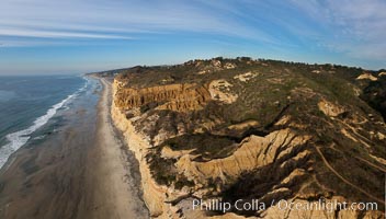 Torrey Pines balloon aerial survey photo.  Torrey Pines seacliffs, rising up to 300 feet above the ocean, stretch from Del Mar to La Jolla. On the mesa atop the bluffs are found Torrey pine trees, one of the rare species of pines in the world. Peregrine falcons nest at the edge of the cliffs. This photo was made as part of an experimental balloon aerial photographic survey flight over Torrey Pines State Reserve, by permission of Torrey Pines State Reserve, San Diego, California