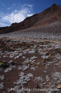 Bartolome, Bartolome Island