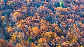 Blue Ridge Parkway Fall Colors, Asheville, North Carolina