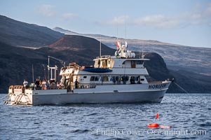 Boat Horizon and freedivers, Guadalupe Island (Isla Guadalupe)