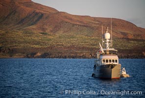 Boat Millenium Starship, Socorro Island, Baja California, Mexico, Socorro Island (Islas Revillagigedos)