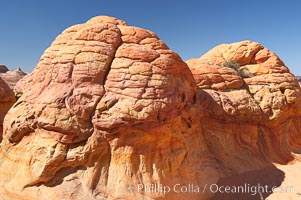 Brain rocks.  Sandstone is curiously eroded through the forces water and wind acting over eons.  Cracks and joints arise when water freezes and expands repeatedly, braking apart the soft sandstone, North Coyote Buttes, Paria Canyon-Vermilion Cliffs Wilderness, Arizona