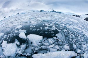 Brash ice and pack ice in Antarctica.  Brash ices fills the ocean waters of Cierva Cove on the Antarctic Peninsula.  The ice is a mix of sea ice that has floated near shore on the tide and chunks of ice that have fallen into the water from nearby land-bound glaciers