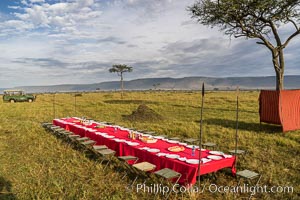Breakfast on the Maasai Mara Plains, Kenya, Maasai Mara National Reserve