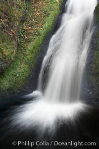 Bridal Veil Falls, a 140 foot fall in the Columbia River Gorge, is not to be confused with the more famous Bridalveil Falls in Yosemite National Park, Columbia River Gorge National Scenic Area, Oregon