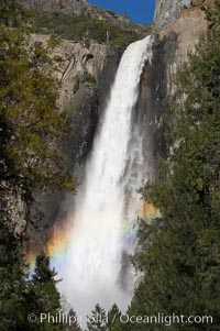 Bridalveil Falls with a rainbow forming in its spray, dropping 620 into Yosemite Valley, displaying peak water flow in spring months from deep snowpack and warm weather melt.  Yosemite Valley, Yosemite National Park, California