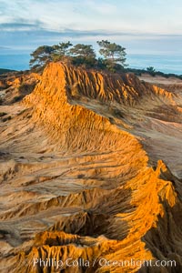 Broken Hill and view to La Jolla, from Torrey Pines State Reserve, sunrise, San Diego, California