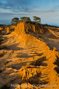 Broken Hill and view to La Jolla, from Torrey Pines State Reserve, sunrise, San Diego, California