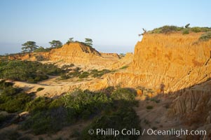 Broken Hill is an ancient, compacted sand dune that was uplifted to its present location and is now eroding, Torrey Pines State Reserve, San Diego, California