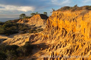 Broken Hill with the Pacific Ocean in the distance.  Broken Hill is an ancient, compacted sand dune that was uplifted to its present location and is now eroding, Torrey Pines State Reserve, San Diego, California