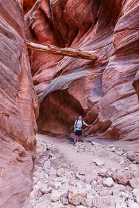 Suspended log in Buckskin Gulch.  A hiker considers a heavy log stuck between the narrow walls of Buckskin Gulch, placed there by a flash flood some time in the past.  Buckskin Gulch is the world's longest accessible slot canyon, forged by centuries of erosion through sandstone.  Flash flooding is a serious danger in the narrows where there is no escape, Paria Canyon-Vermilion Cliffs Wilderness, Arizona