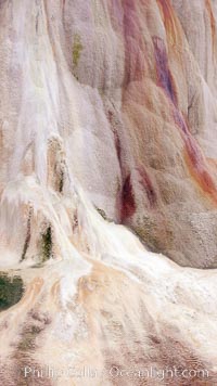 Calcium carbonate and algae detail, Orange Spring Mound, Mammoth Hot Springs, Yellowstone National Park, Wyoming