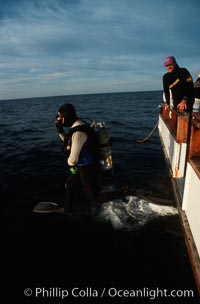 California diver, boat Horizon, San Clemente Island