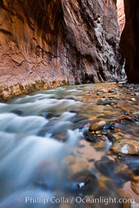 The Virgin River flows through the Zion Narrows, with tall sandstone walls towering hundreds of feet above, Virgin River Narrows, Zion National Park, Utah