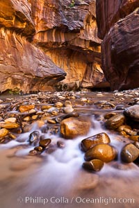 The Virgin River flows through the Zion Narrows, with tall sandstone walls towering hundreds of feet above, Virgin River Narrows, Zion National Park, Utah