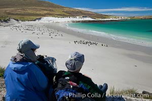 Visitors watch gentoo and Magellanic penguins on beautiful Leopard Beach, coming ashore after they have foraged at sea, Spheniscus magellanicus, Carcass Island