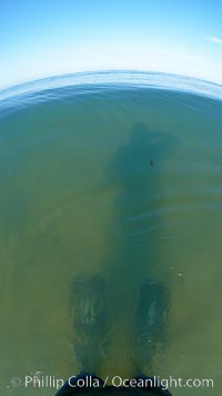 Guy stands in shallow water wearing his long fins, takes photo of his shadow, Cardiff by the Sea, California
