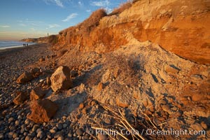 Beach cliffs made of soft clay continually erode, adding fresh sand and cobble stones to the beach.  The sand will flow away with ocean currents, leading for further erosion of the cliffs, Carlsbad, California