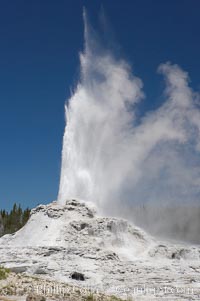 Castle Geyser erupts, reaching 60 to 90 feet in height and lasting 20 minutes.  While Castle Geyser has a 12 foot sinter cone that took 5,000 to 15,000 years to form, it is in fact situated atop geyserite terraces that themselves may have taken 200,000 years to form, making it likely the oldest active geyser in the park. Upper Geyser Basin, Yellowstone National Park, Wyoming