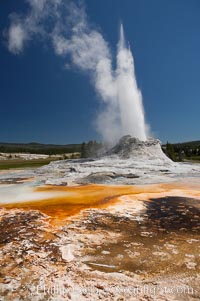 Castle Geyser erupts with the colorful bacteria mats of Tortoise Shell Spring in the foreground.  Castle Geyser reaches 60 to 90 feet in height and lasts 20 minutes.  While Castle Geyser has a 12 foot sinter cone that took 5,000 to 15,000 years to form, it is in fact situated atop geyserite terraces that themselves may have taken 200,000 years to form, making it likely the oldest active geyser in the park. Upper Geyser Basin, Yellowstone National Park, Wyoming