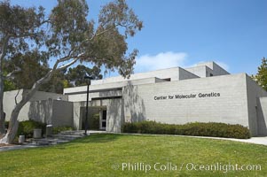 Center for Molecular Genetics building, University of California, San Diego (UCSD), La Jolla