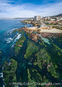 Childrens Pool Reef Exposed at Extreme Low King Tide, La Jolla, California. Aerial panoramic photograph, Children's Pool