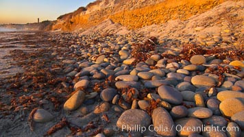 Cobblestones fall to the sand beach from the sandstone cliffs in which they are embedded, Carlsbad, California