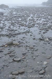 Cobblestones on the beach, low tide, Ruby Beach, Olympic National Park, Washington