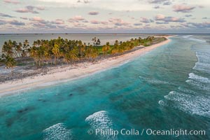 Coconut palm trees on Clipperton Island, aerial photo. Clipperton Island is a spectacular coral atoll in the eastern Pacific. By permit HC / 1485 / CAB (France)