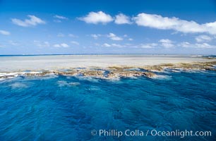 Porolithon coralline algae reef, Rose Atoll, American Samoa, Rose Atoll National Wildlife Sanctuary