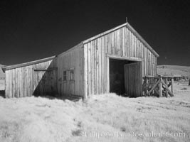 County barn, infrared, Bodie State Historical Park, California