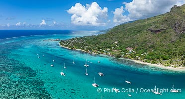 Cruising Sailboats at anchor, Moorea, French Polynesia, aerial view