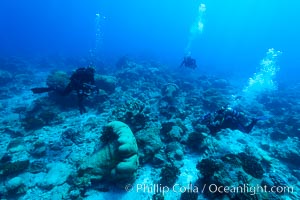 Divers over coral reef, Clipperton Island