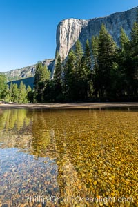 El Capitan and the Merced River, early morning, Yosemite National Park